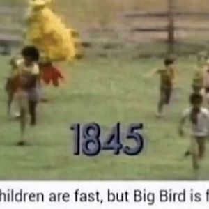 Meet your Posher, Josh